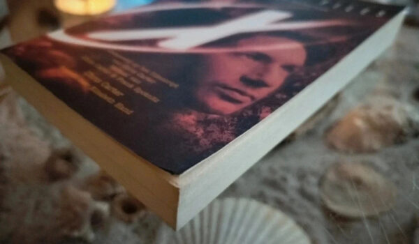 The X Files - Bestrijd de Toekomst - Afbeelding 4