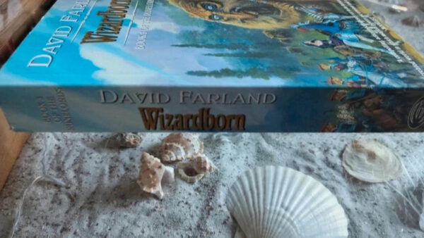 David Farland - Wizardborn - Afbeelding 3