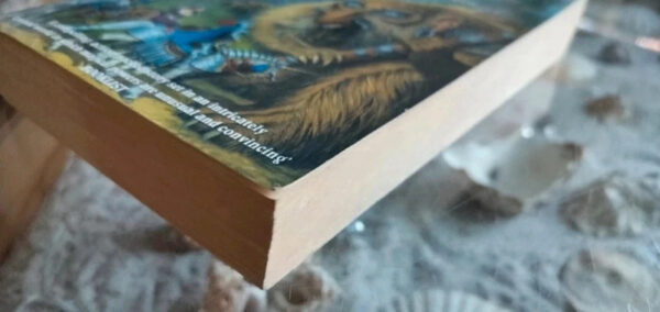 David Farland - Wizardborn - Afbeelding 4