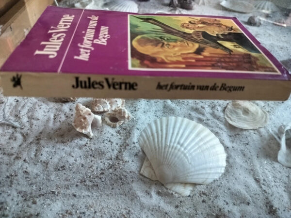 Jules Verne - Het fortuin van Begum - Afbeelding 3