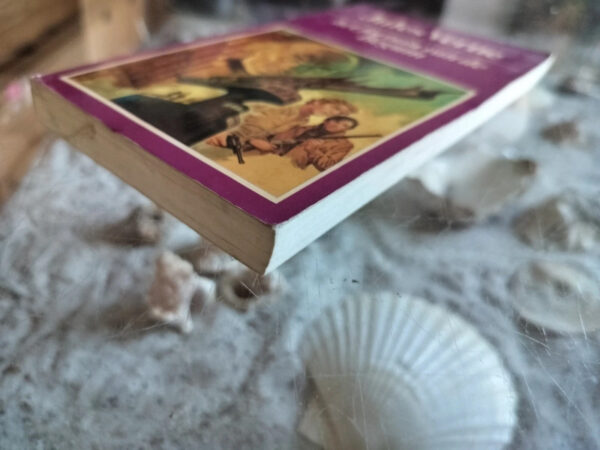 Jules Verne - Het fortuin van Begum - Afbeelding 4
