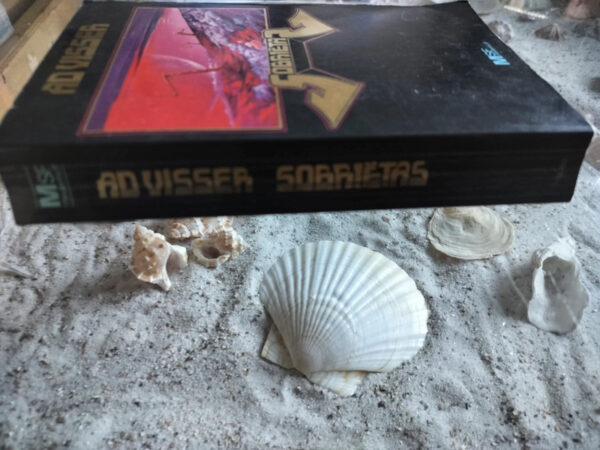 Ad Visser - Sobriëtas - Afbeelding 3