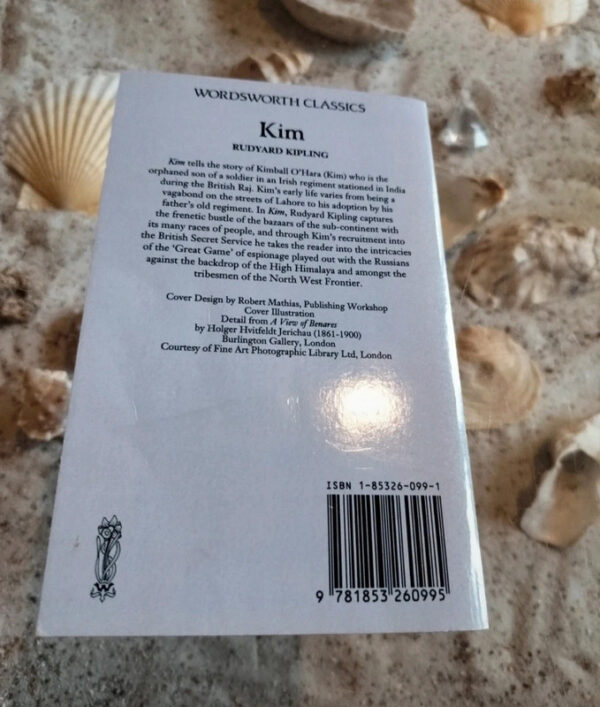 Rudyard Kipling - Kim - Afbeelding 2