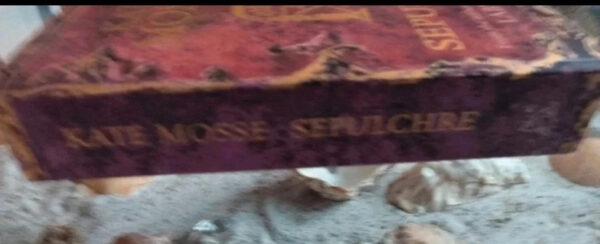 Kate Mosse - Sepulchre - Afbeelding 3