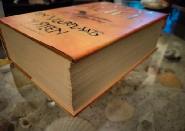J.M. Auel - Een vuurplaats in steen - hardcover - Aardkinderen - Afbeelding 4