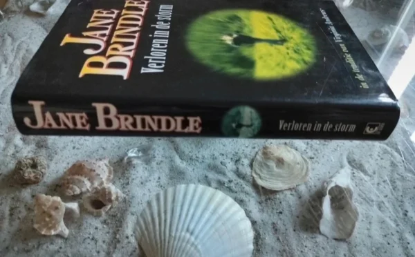 Jane Brindle - Verloren in de storm - Afbeelding 3