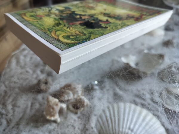 Terry Pratchett - Heksen in de lucht - Schijfwereld - Discworld - Afbeelding 4