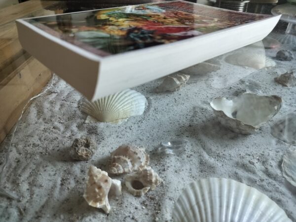 Terry Pratchett - Edele Heren en Dames - Schijfwereld - Discworld - Afbeelding 4