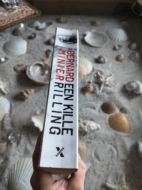 Bernard Minier - Een kille rilling