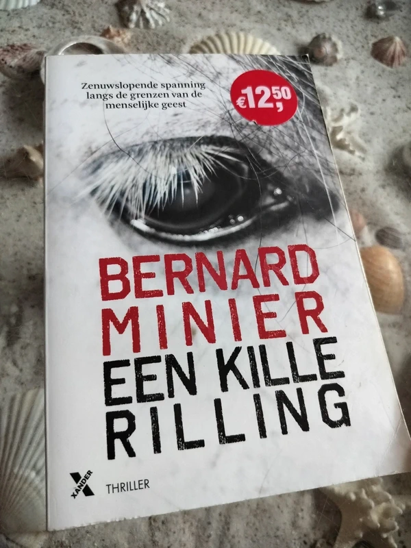 Bernard Minier - Een kille rilling