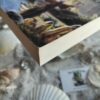 Weis en Hickman - Paladijn van de Nacht - Roos van de Profeet deel 2