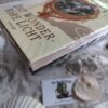 Terry Pratchett - Dat Wonderbare Licht - Schijfwereld deel 2