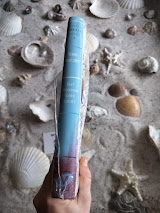 Terry Pratchett - Dat Wonderbare Licht - Schijfwereld deel 2