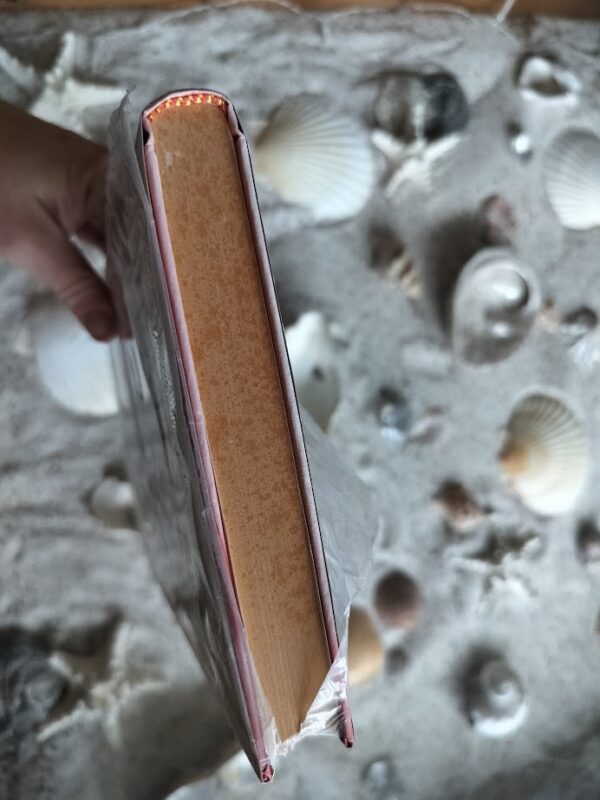 Terry Pratchett - Dat Wonderbare Licht - Schijfwereld deel 2