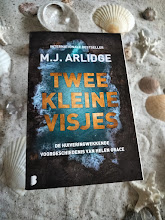 M.J. Arlidge - Twee Kleine Visjes - Helen Grace