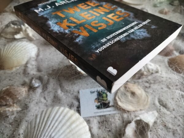 M.J. Arlidge - Twee Kleine Visjes - Helen Grace