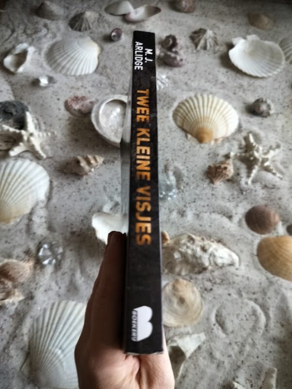 M.J. Arlidge - Twee Kleine Visjes - Helen Grace